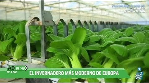 EL INVERNADERO MÁS MODERNO DE EUROPA