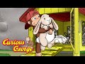 George&#39;s Bunny Hunt 🐵 Curious George 🐵 Kids Cartoon 🐵 Kids Movies