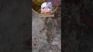 JOZU BAKES WITH HER SIBLING?