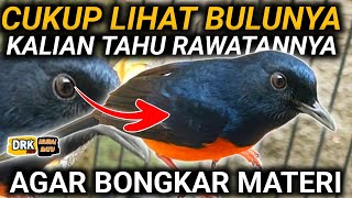 BECAUSE OF FULL KARODONG AND EF MURAI BATU NOT DISASSEMBLING THE MATERIAL, MURAI BATU LOST FIGHTER
