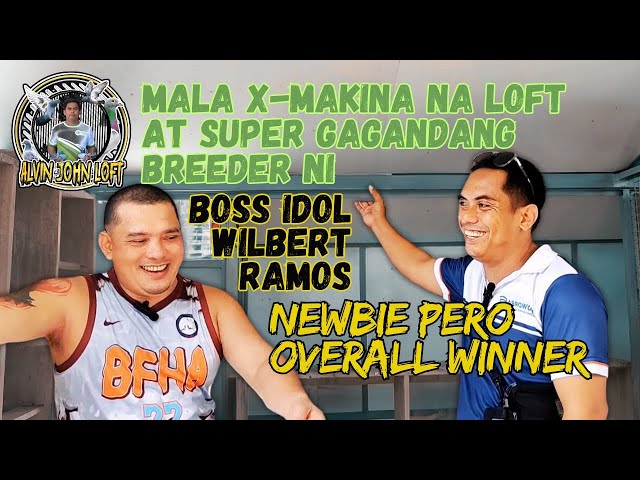 Newbie pero  Overall Winner Boss Idol Wilbert Ramos Mala Xmakina na loft at super gagandang breeder. class=