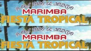 marimba tropical Veracruz