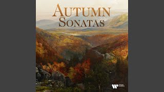 The Four Seasons, Violin Concerto in F Major, Op. 8 No. 3, RV 293 Autumn: I. Allegro
Provided to YouTube by Warner Classics
The Four Seasons, Violin Concerto in F Major, Op. 8 No. 3, RV 293 Autumn: I. Allegro · Il Giardino Armonico · Enrico Onofri
Autumn Sonatas
℗ A Warner Classics/Teldec release, ℗ 1994 Warner Music UK Limited
Violin: Enrico Onofri
Conductor: Giovanni Antonini
Ensemble: Il Giardino Armonico
Composer: Antonio Vivaldi
Auto-generated by YouTube. The Four Seasons, Violin Concerto in F Major, Op. 8 No. 3, RV 293 Autumn: I. Allegro