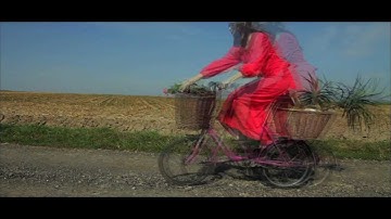 The Band Of Endless Noise - Sugar (OFFICIAL VIDEO)