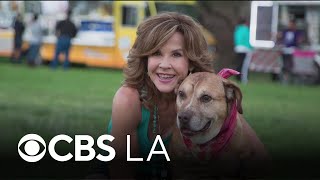"Exorcist" star Linda Blair's animal rescue cited for overcrowding, license violations