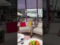 Ya sabemos quien le causa estrés a Johnny