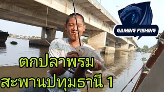 Street Fishing Ep 21 ตกปลา สะพานปทุมธานี 1
