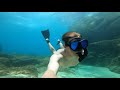 Waimea Bay Snorkeling