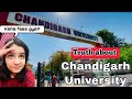 Chandigarh University| Review| Placements| Campus| #collegereview #chandigarhuniversity