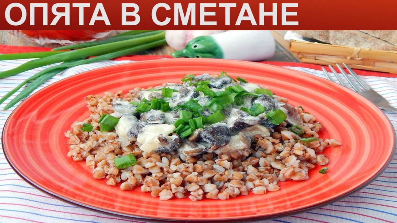 КАК ПРИГОТОВИТЬ ОПЯТ В СМЕТАНЕ? Нежные и сытные тушеные грибы опята в сметане с луком на сковороде