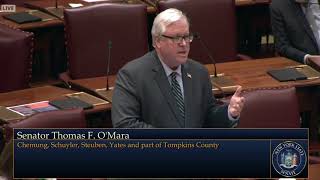 Senator Tom O'Mara ASSAILS Democrats' WINDOW DRESSING Bail Reform in the Budget - #TakeBackNY