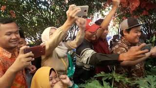 Moment akad nikah Sarah & Reza (18-08-2019)