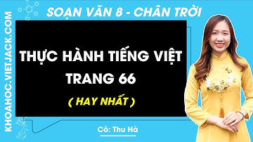 Soạn bài Thực hành tiếng Việt trang 66, 67 | Ngữ văn 8 Chân trời sáng tạo (HAY NHẤT)