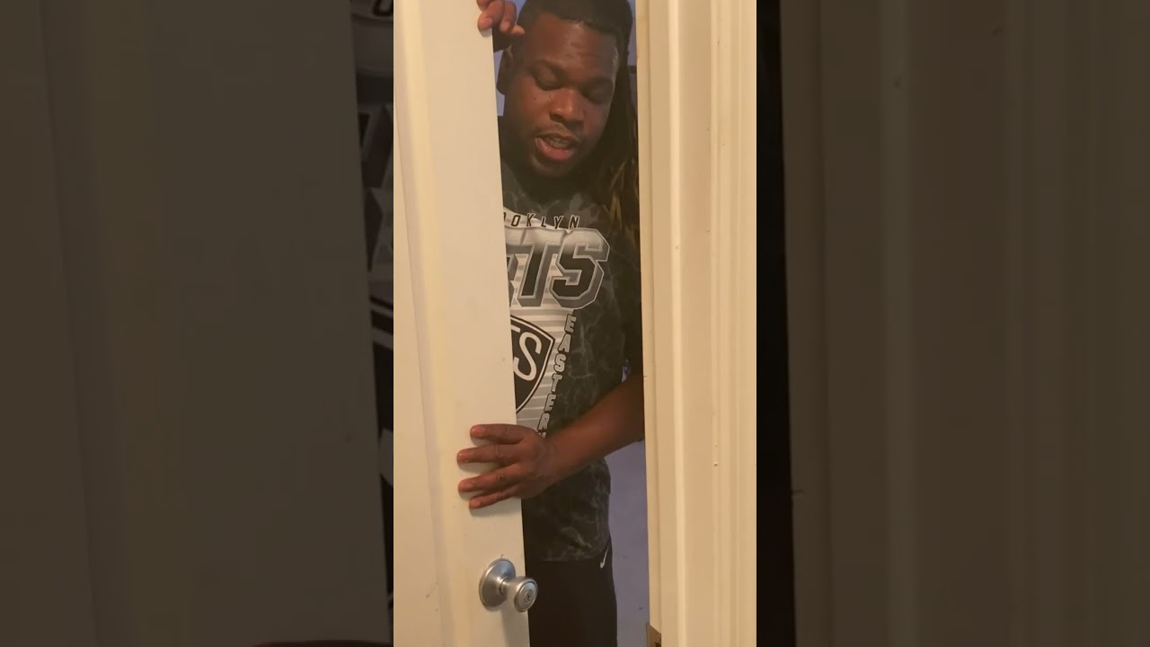 The local black bear is looking for something suitable for her cubs #bears #cubs #animals #funny