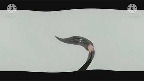 Preview 2 Music Channel Plus Ident V3 in Mirror Twirls (Sony Vegas Version)