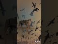 يا أيها القلب الطيب كسرتني