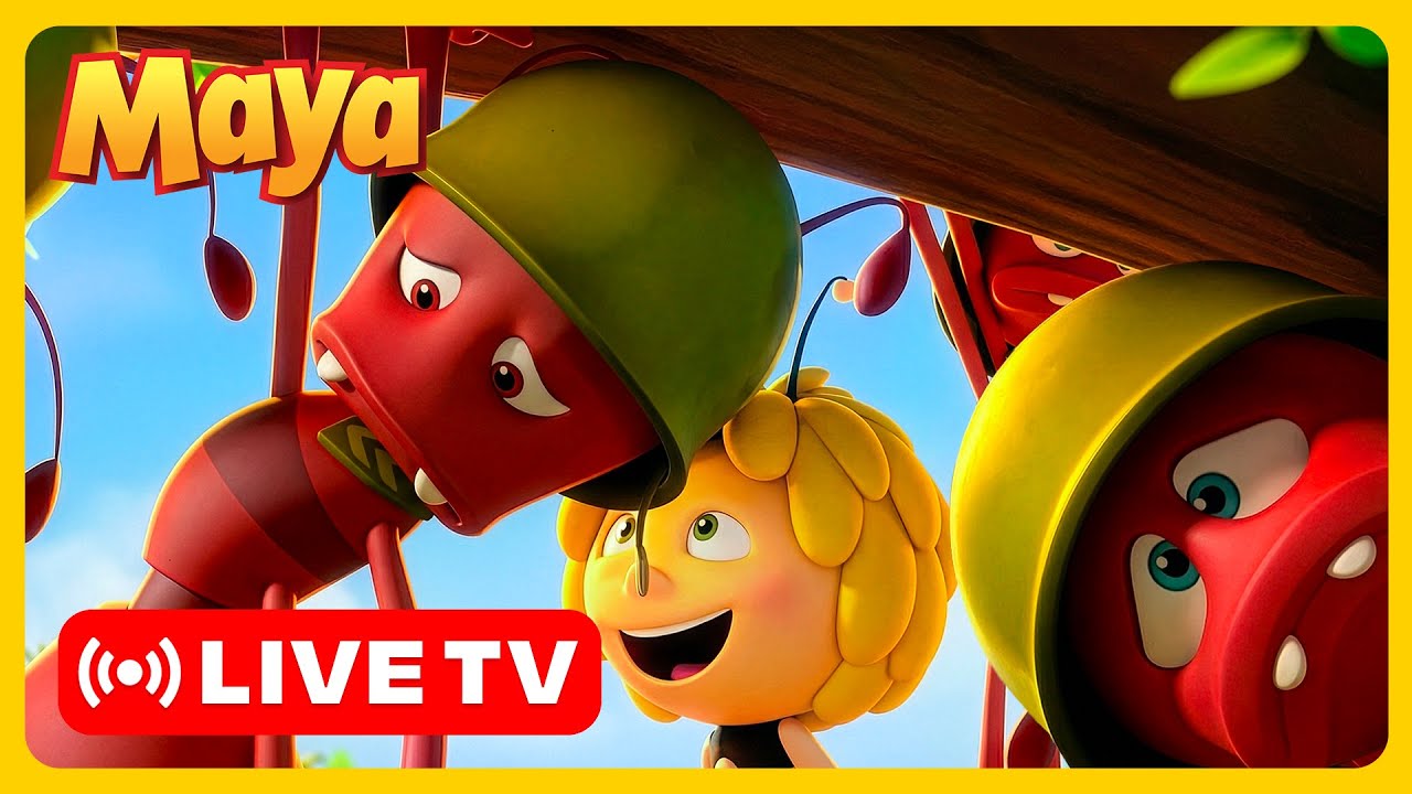 مغامرات مباشرة مع مايا النحلة 🐝 مايا النحلة | كرتون وأفلام للأطفال | أطفال عربي الجميع