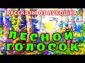 ЛЕСНОЙ ГОЛОСОК — Рассказ | Георгий Скребицкий | Интересная история | Рассказы Скребицкого