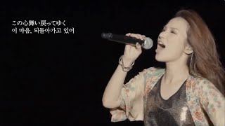 사랑을 담아서 꽃다발을 (愛をこめて花束を) / 【Superfly】 (Live at SUMMER SONIC 2014)