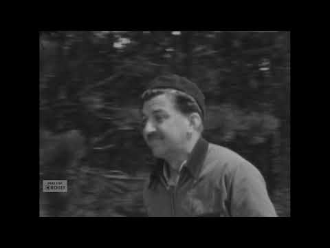 Wadblik special - Ameland jaren 50