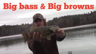 BROWN TROUT & SMALL MOUTH BASS FISHING