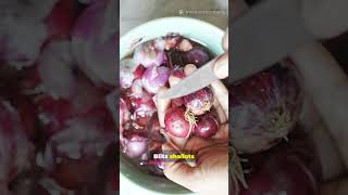 POV RENDANG AYAM : GLOSSY, TENDER, IRRESISTIBLE