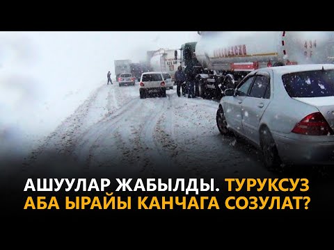 Video: Бал айы канчага созулат?