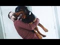 My dog reaction to when I come home |25