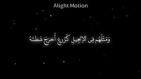 محمد اللحيدان سوره الفتح 