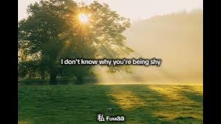 One Direction-what makes you beautiful / lyrics