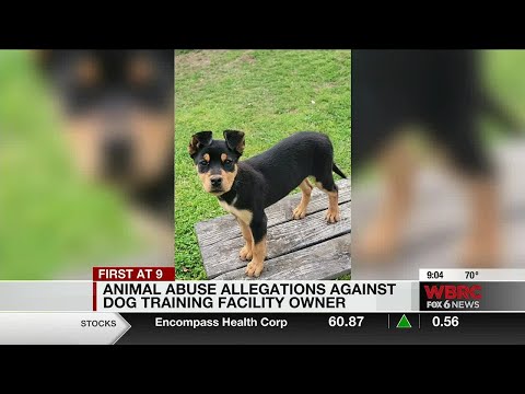Video: Pet Scoop: Pas s ljudskim licem ide virusno, glumac uhićen u prosvjedu za istraživanje