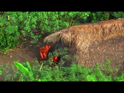 The 5 last isolated tribes of the Amazon / A silent genocide.