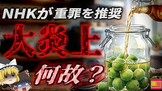 【2007】『みりんで簡単に梅酒！』→NHKが「みりん梅酒」の作り方をTVで紹介し大炎上。酒税法と手作り果実酒の落とし穴『本みりん梅酒炎上事件』を解説（ﾘﾒｲｸ