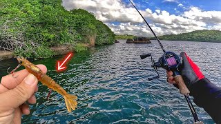 ⚠️ DENUNCIA - Algo muito TRISTE aconteceu nessa Pescaria de ROBALO no Mangue com Iscas artificiais