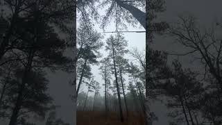 Free Camping In Georgia