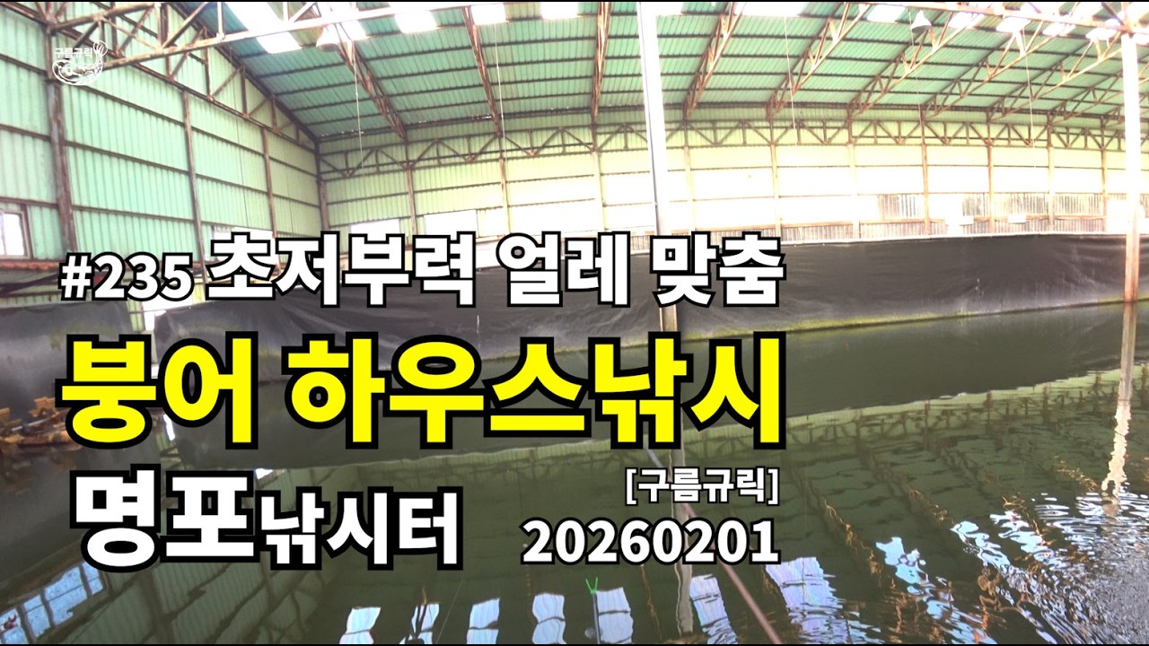 #낚시 #235 일반용 #명포낚시터 #하우스 #실내낚시터 #fish #korea #fishing