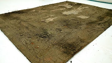 Abandoned Rug Found in Construction Waste Turns Out to Be a Masterpiece - Carpet Cleaning ASMR