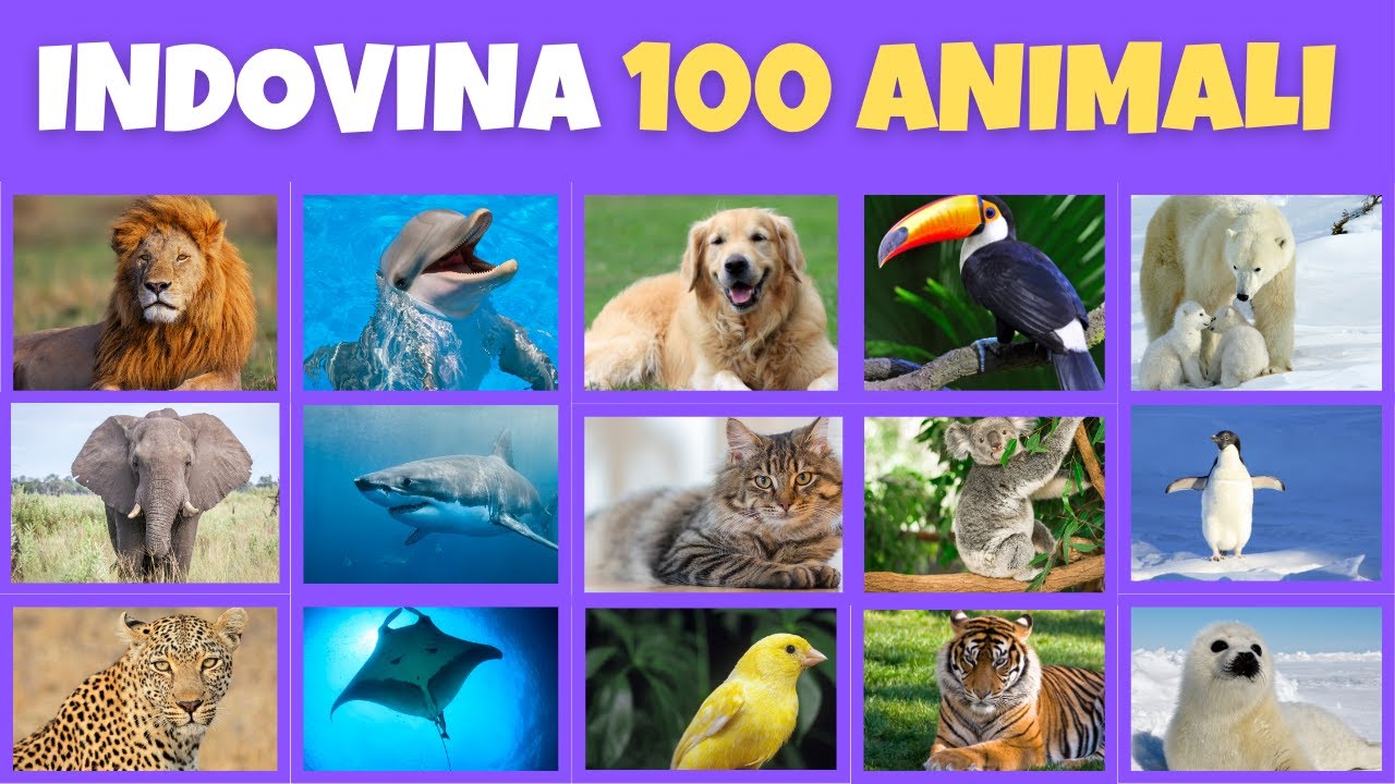 QUIZ ANIMALI: Indovina 100 animali in 5 secondi!