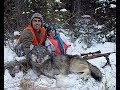 "WESTERN MONTANA WOLF HUNTING 4"