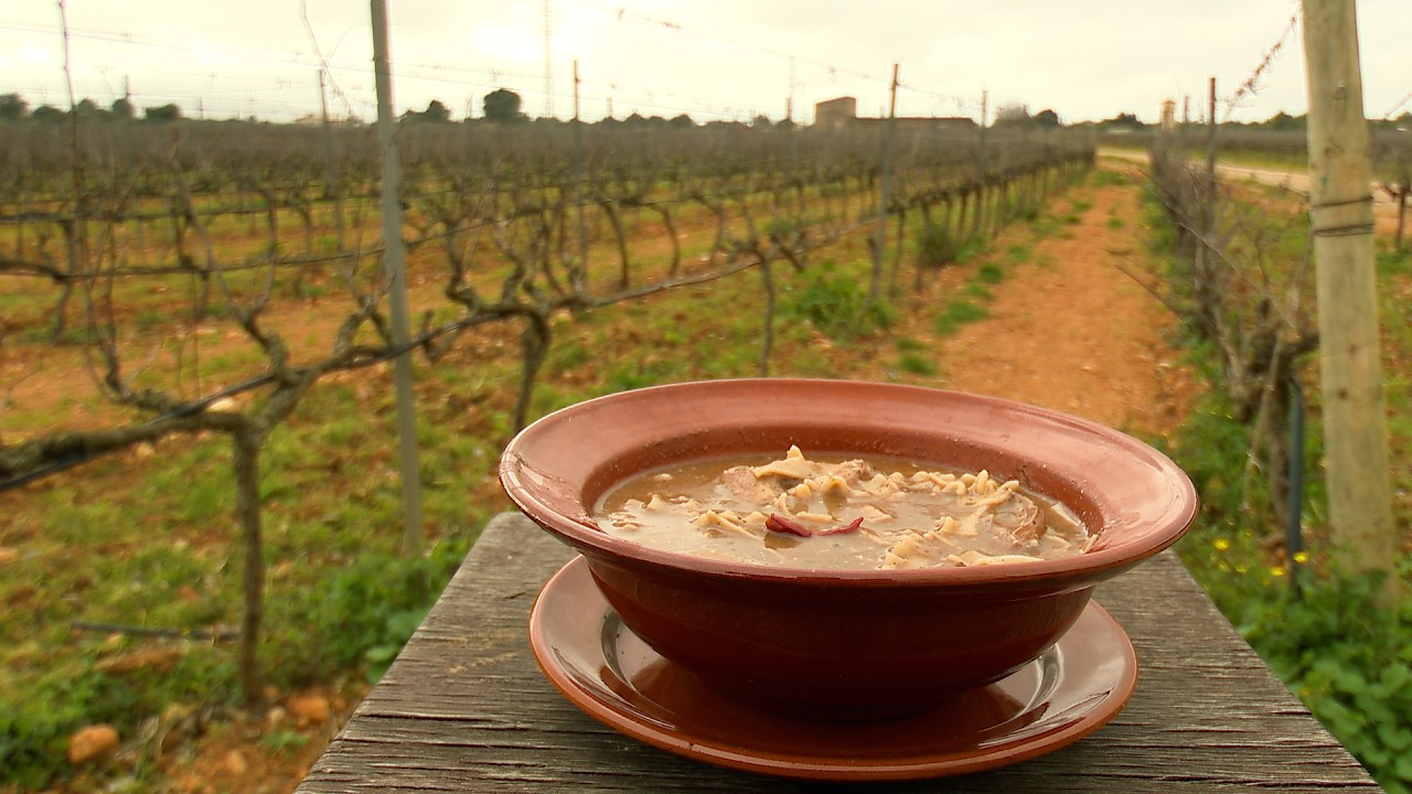 Podar vinya i burballes de conill a les bodegues Jose Luis Ferrer - Uep IB3