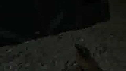 Mods Part 1 - Call of Duty united offensive