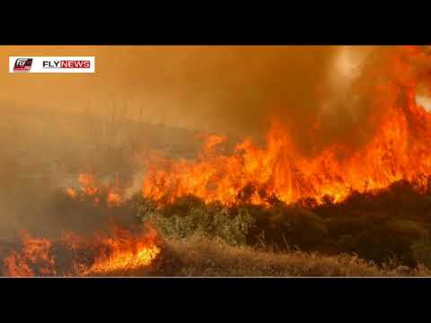 Φωτιά στη Μάνη - Ρεπορτάζ Τ.Καρβουνιάρης(FLY) & Γ.Κεραμιτζόγλου(ΣΚΑΙ)