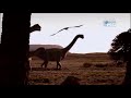 When Dinosaurs Roamed America - Camarasaurus