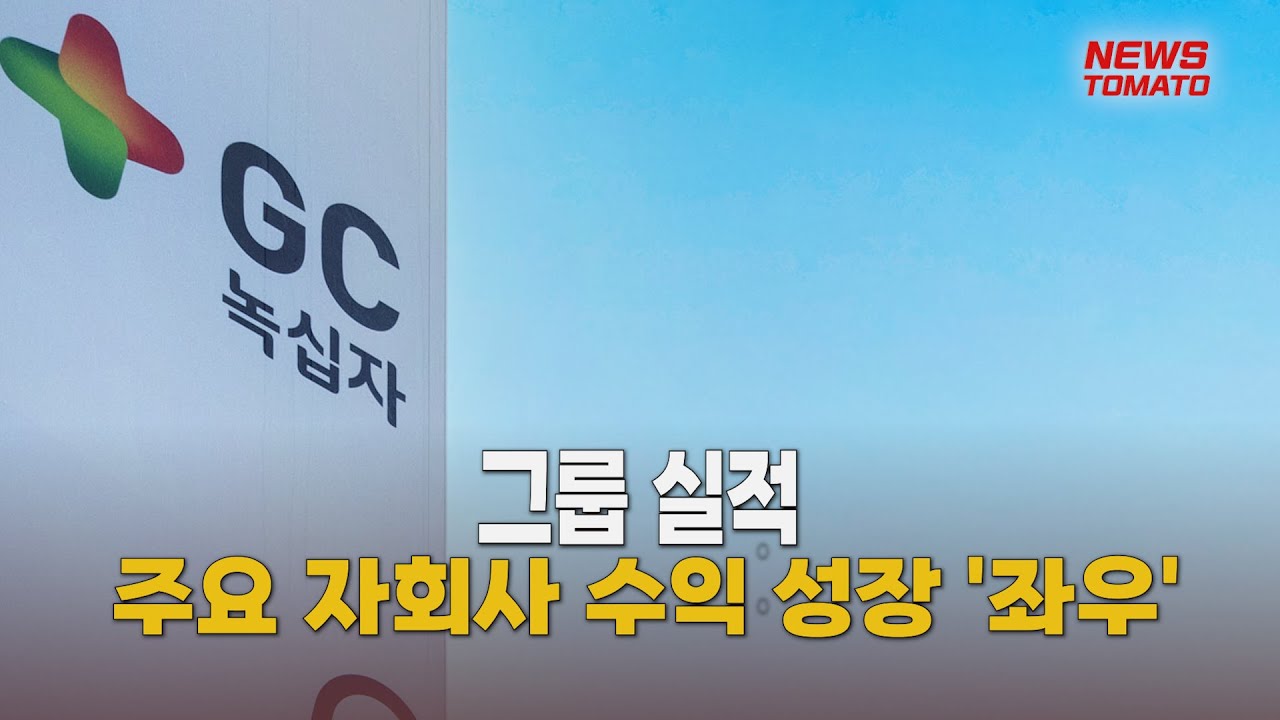 녹십자홀딩스, 실적 저조 자회사 구제책 고심