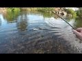 Ultralight Fishing For Trout With Lures. Good Session.