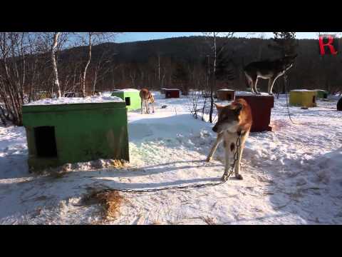 Video: Ladoga jezero: opis, dubina, reljef, riba