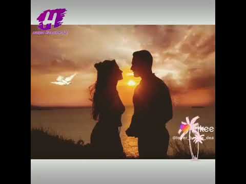 كتبتك غنوة على بابي رسمتك وردة بكتابي