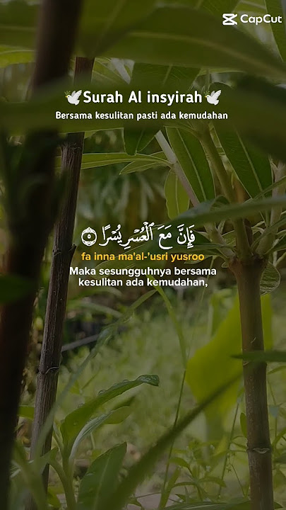surah al insyirah