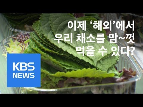 ‘신선도 유지’ 포장 기술…채소도 배로 수출 / KBS뉴스(News)