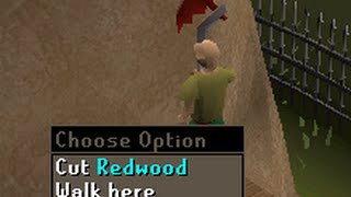 Chopping new REDWOOD TREE for 1 hour (level 90 wc req)